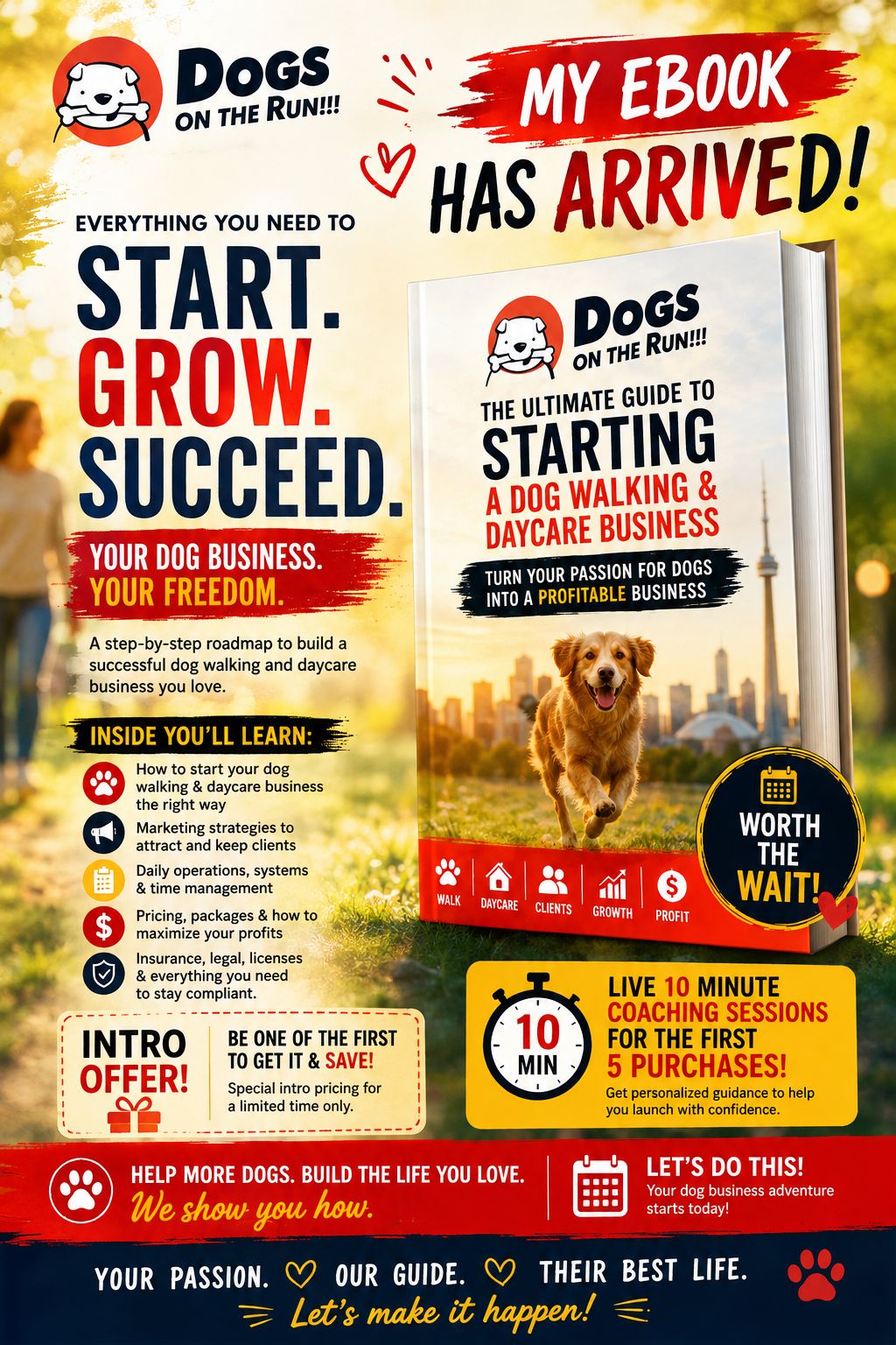 The Complete Guide to Dog Walking & Boarding