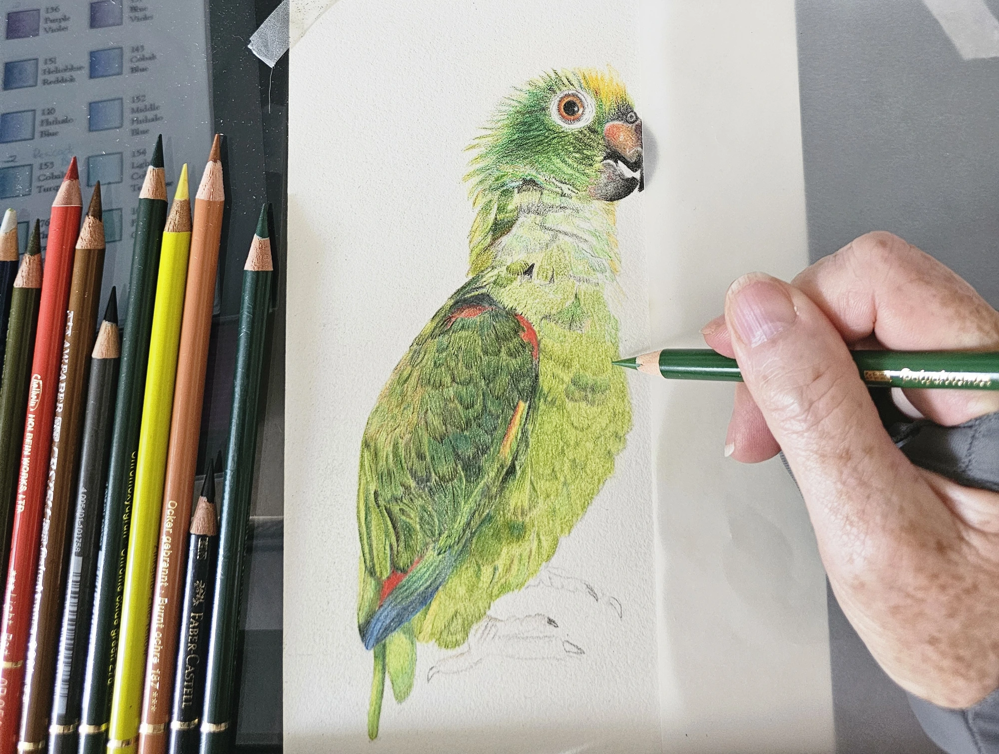 Coloured pencils and a partly finished animal portrait in the Arty Flare studio