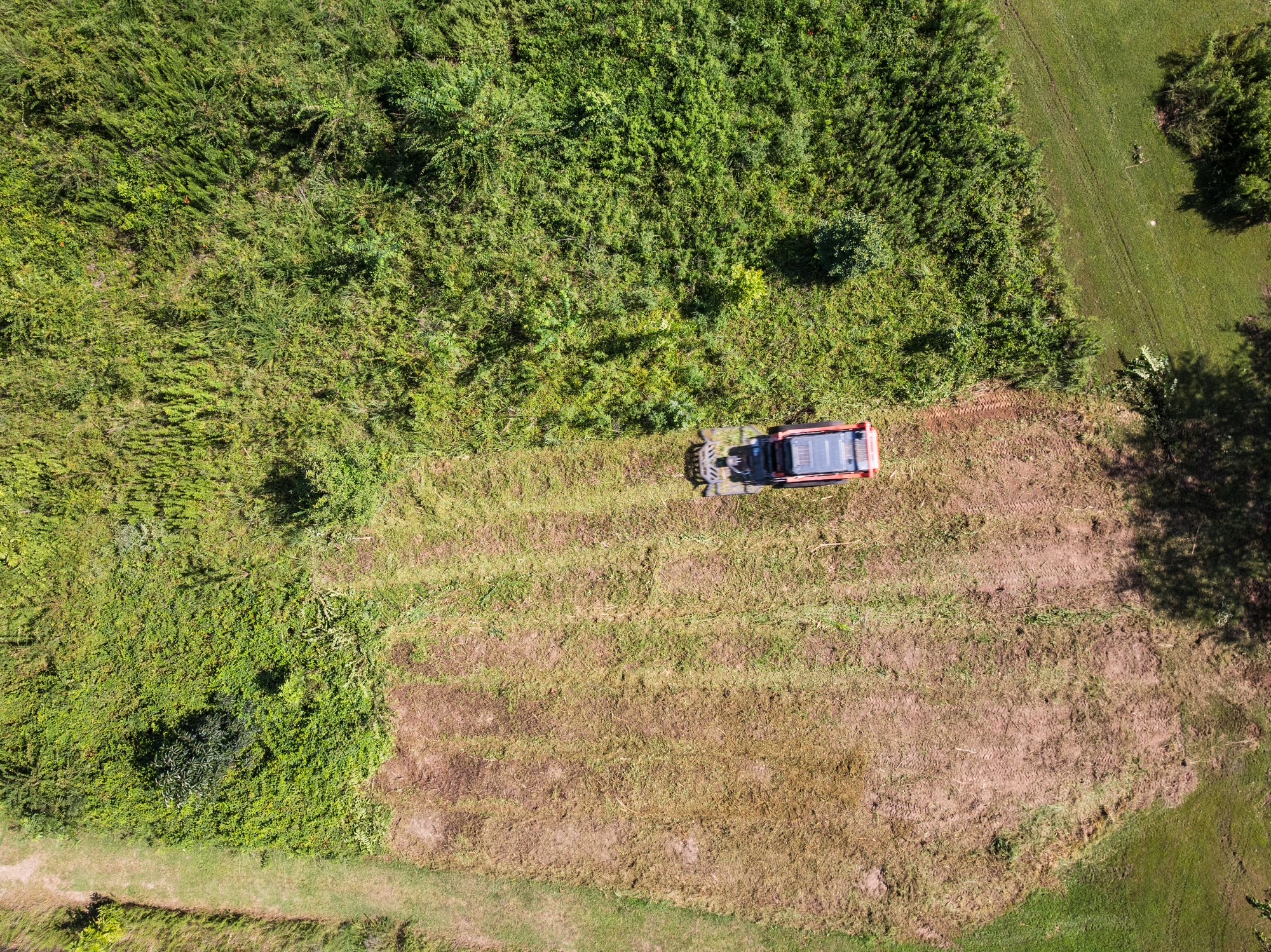 Pond & Bank Clearing
