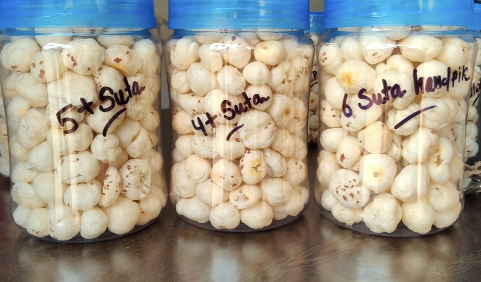 Premium Indian makhana (fox nuts) close-up