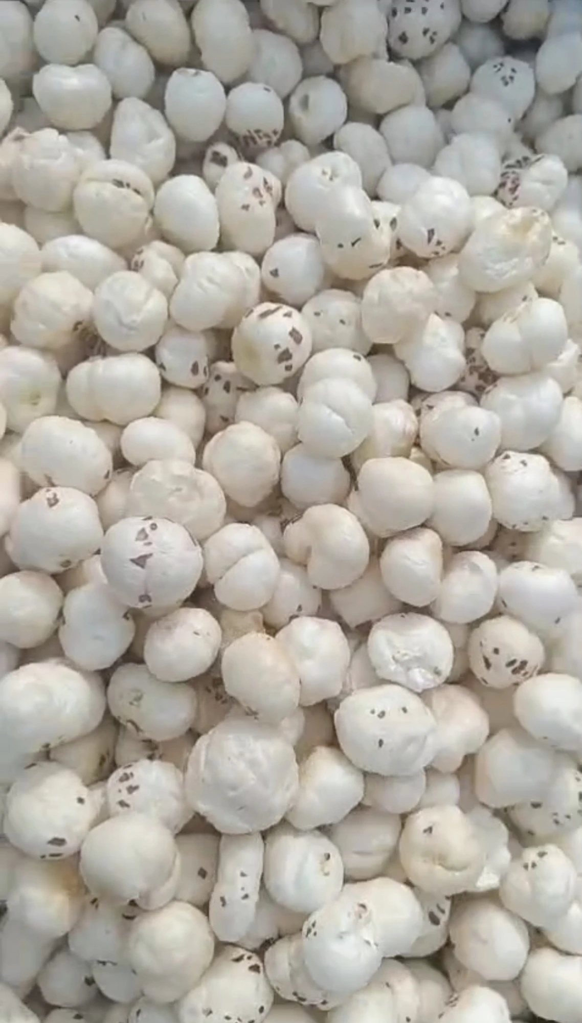 Makhana grading and drying