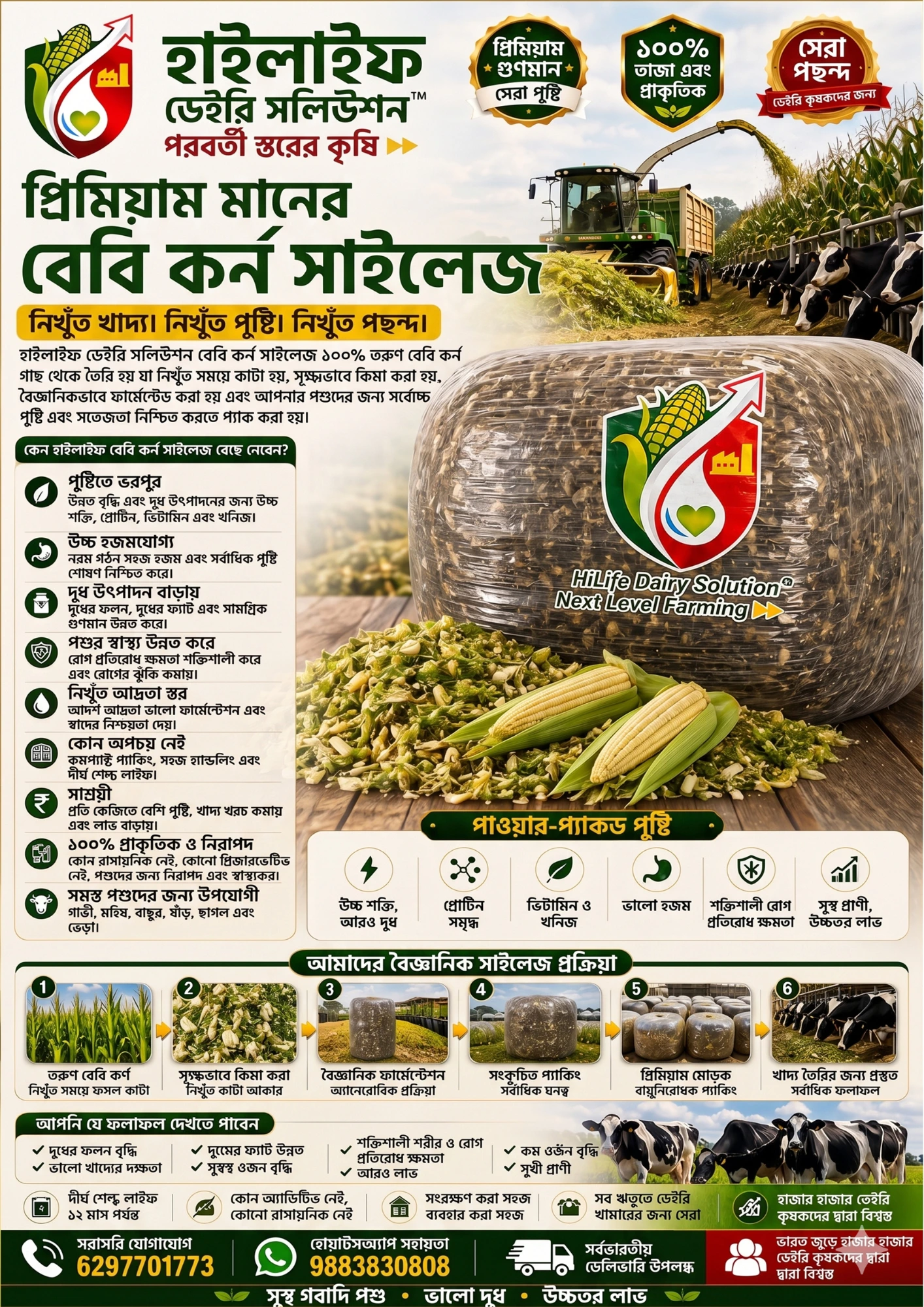 HiLife Premium Baby Corn Silage