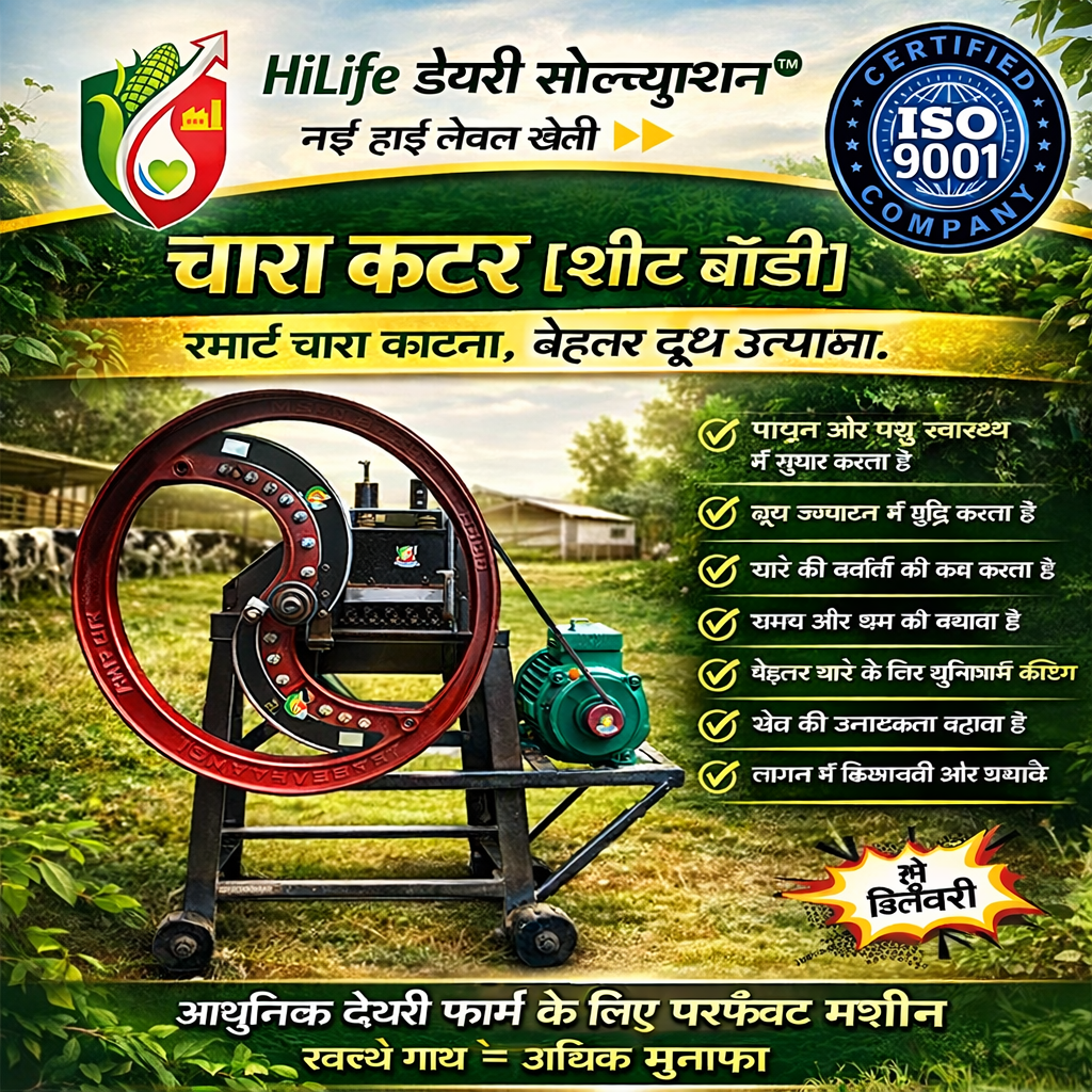 HiLife Chaff Cutter (Sheet Body, 3 HP)