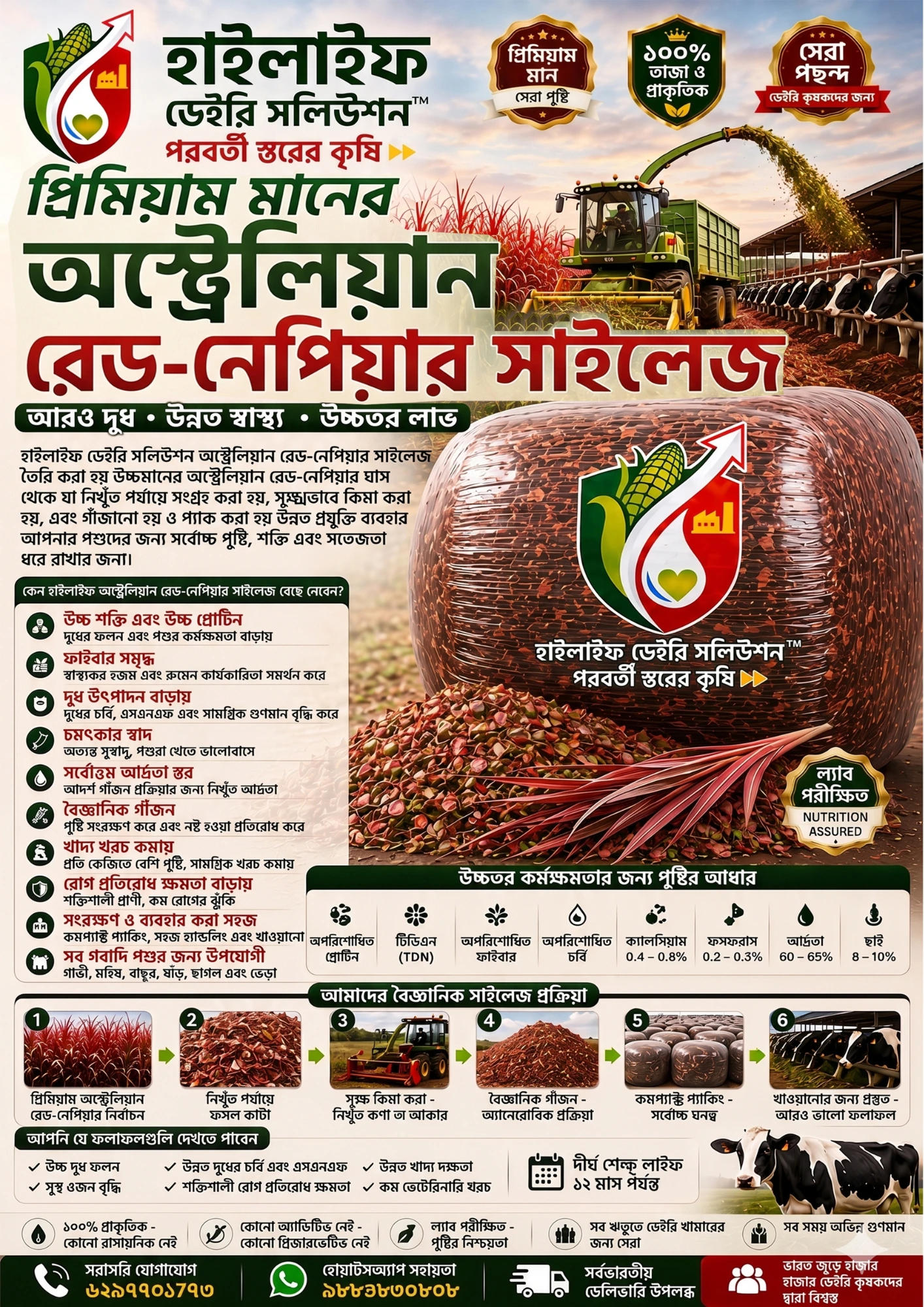HiLife Australian Red-Napier Silage