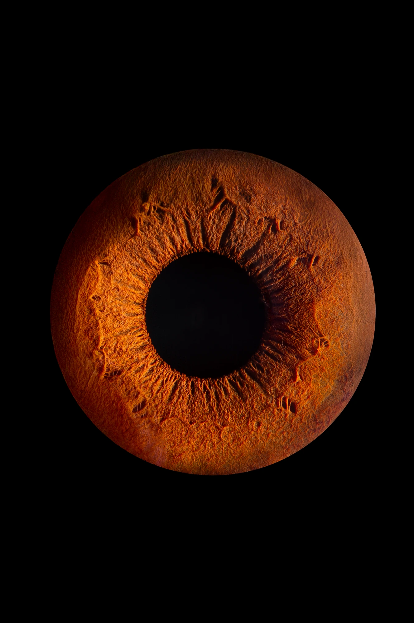Macrophotographie d'iris