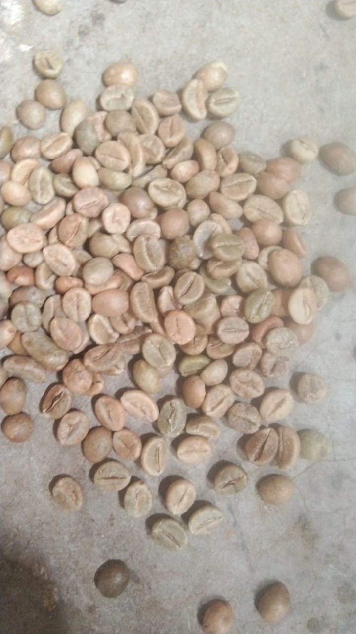 RC A green coffee beans