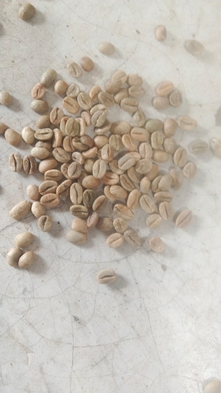 AC A green coffee beans