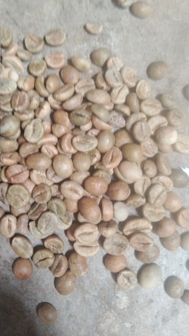 RC AA green coffee beans