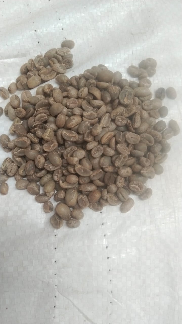 PI C green coffee beans