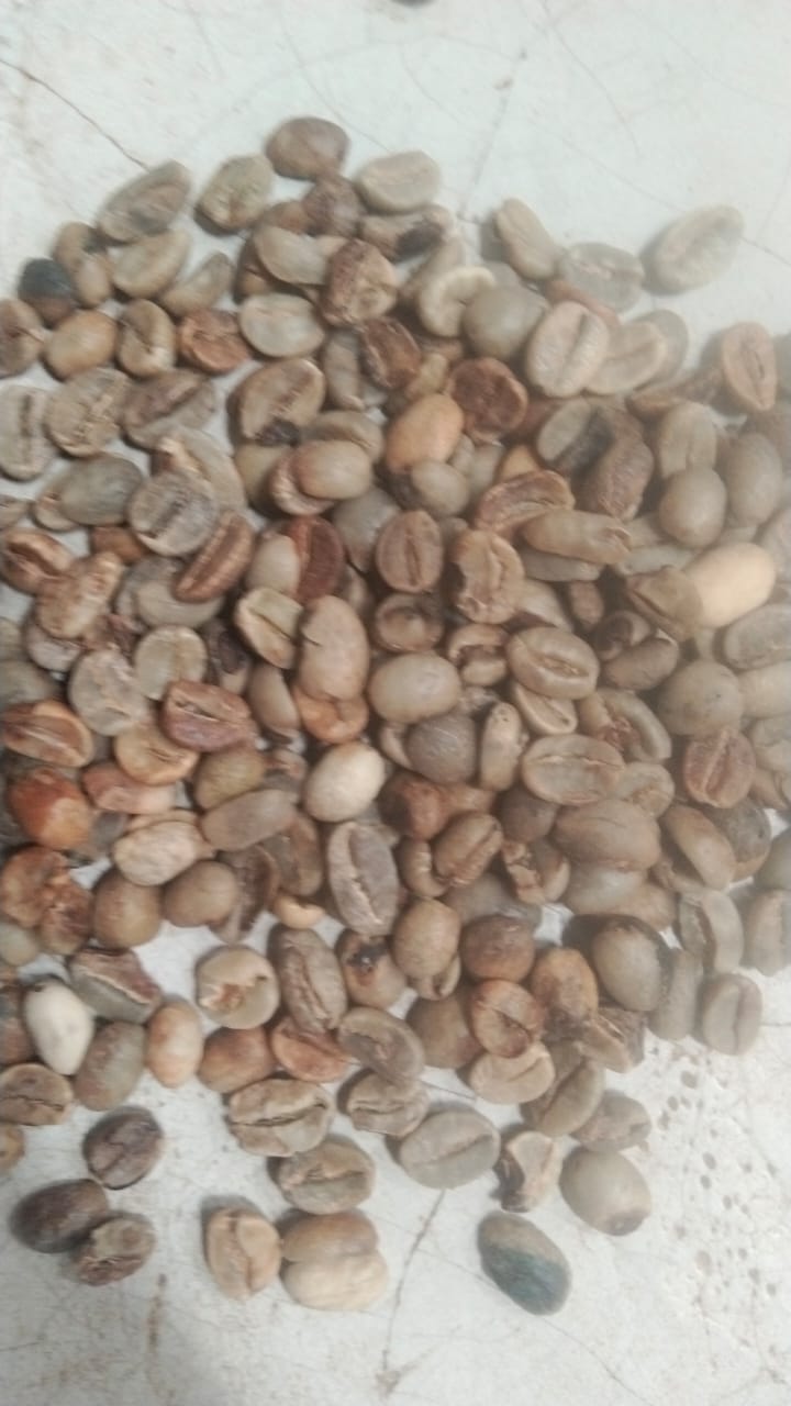 PI A Blacks green coffee beans