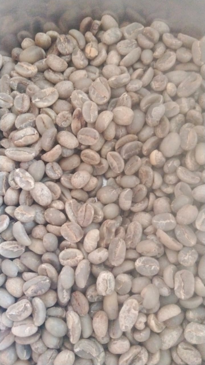 PI B green coffee beans