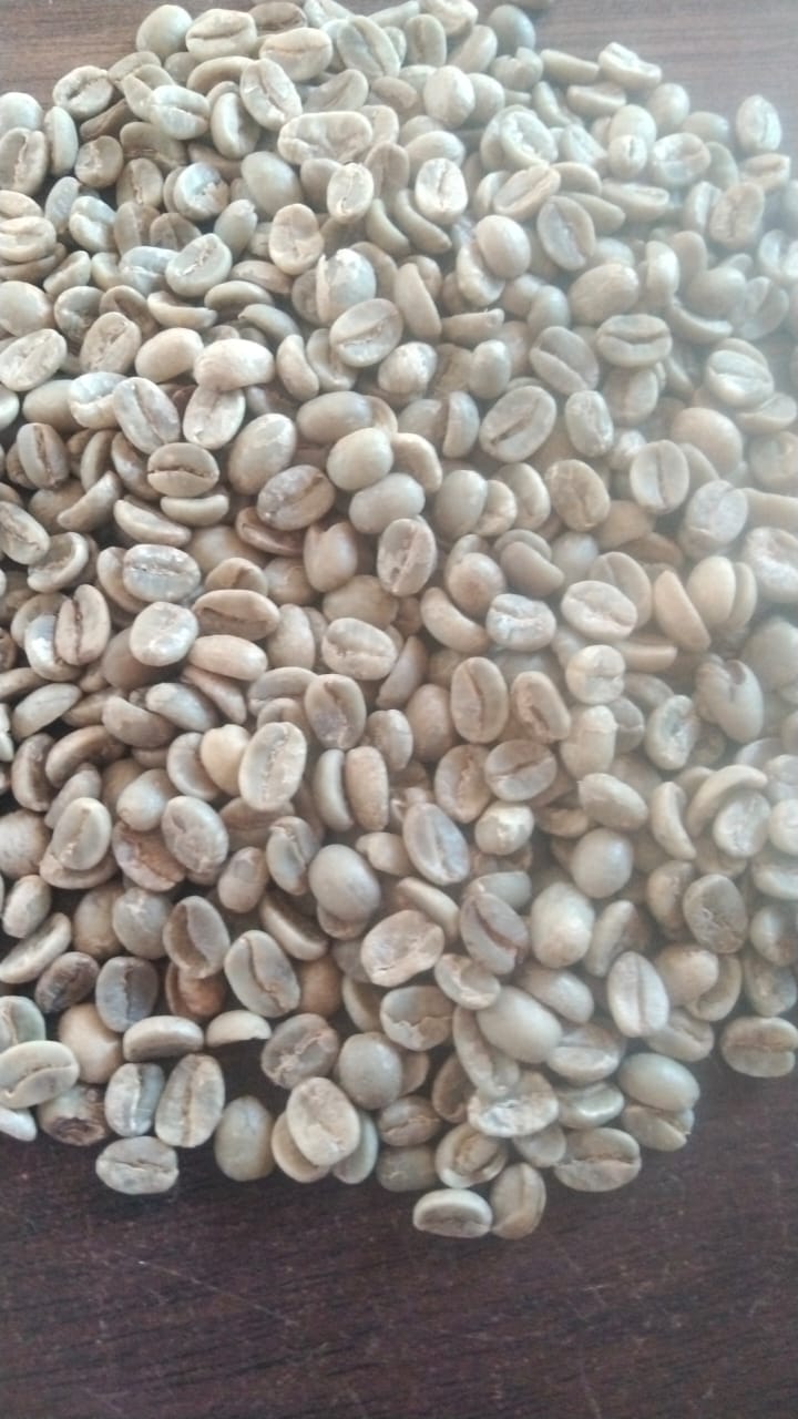 PI AAA green coffee beans