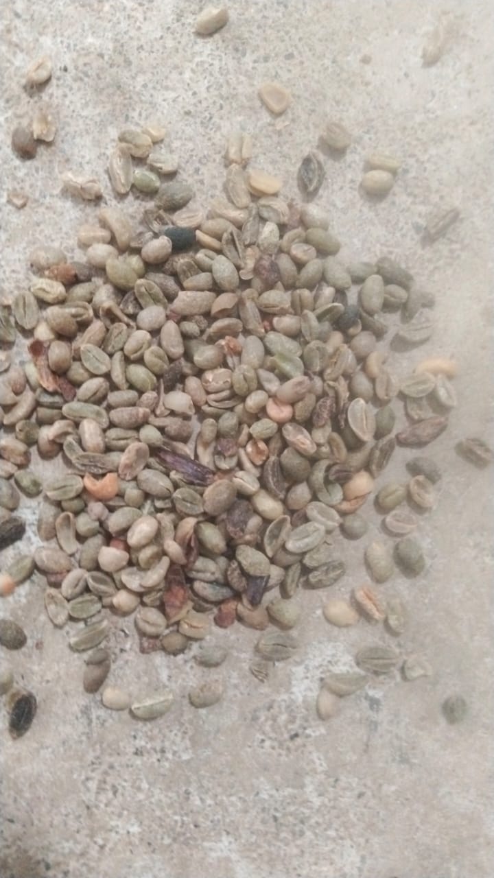 AC Bits green coffee beans