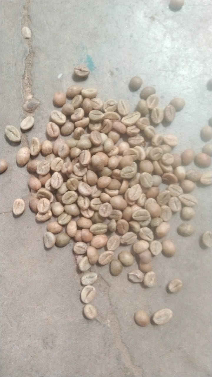 RC B green coffee beans