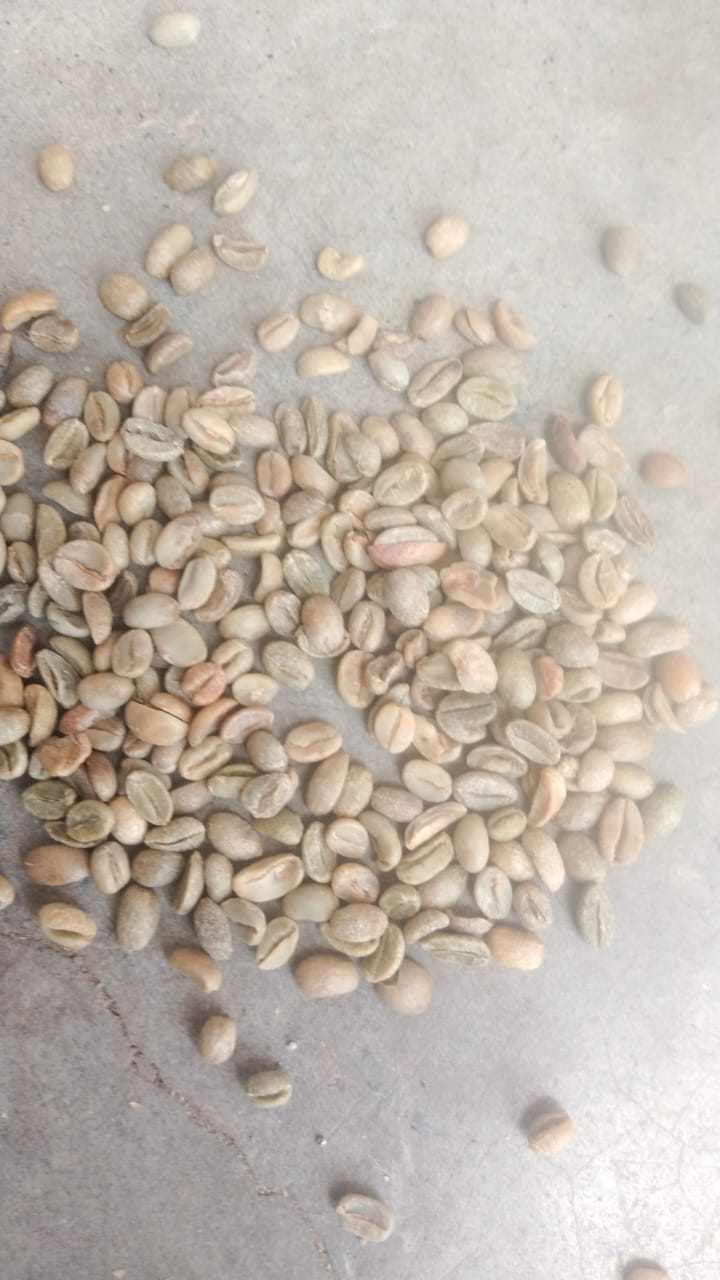 AC C green coffee beans