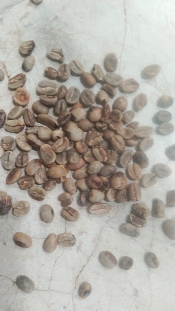 PI Blacks green coffee beans
