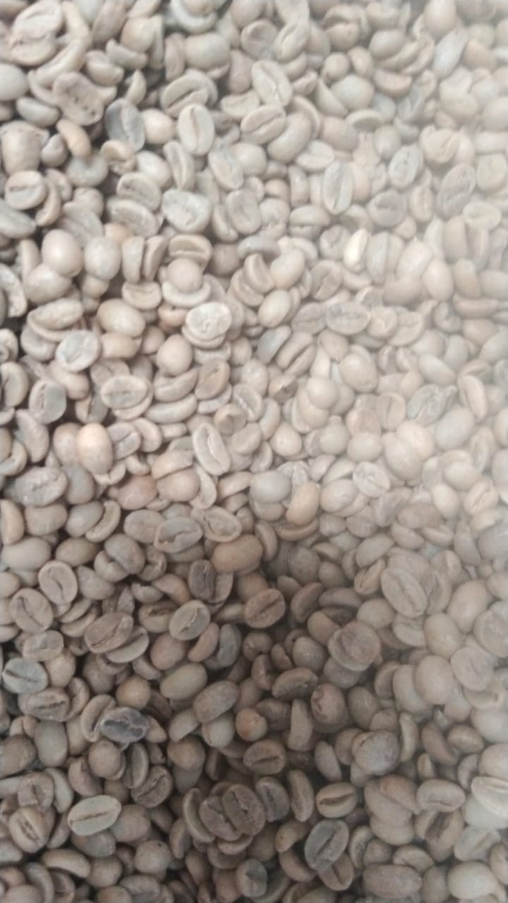 PI A green coffee beans