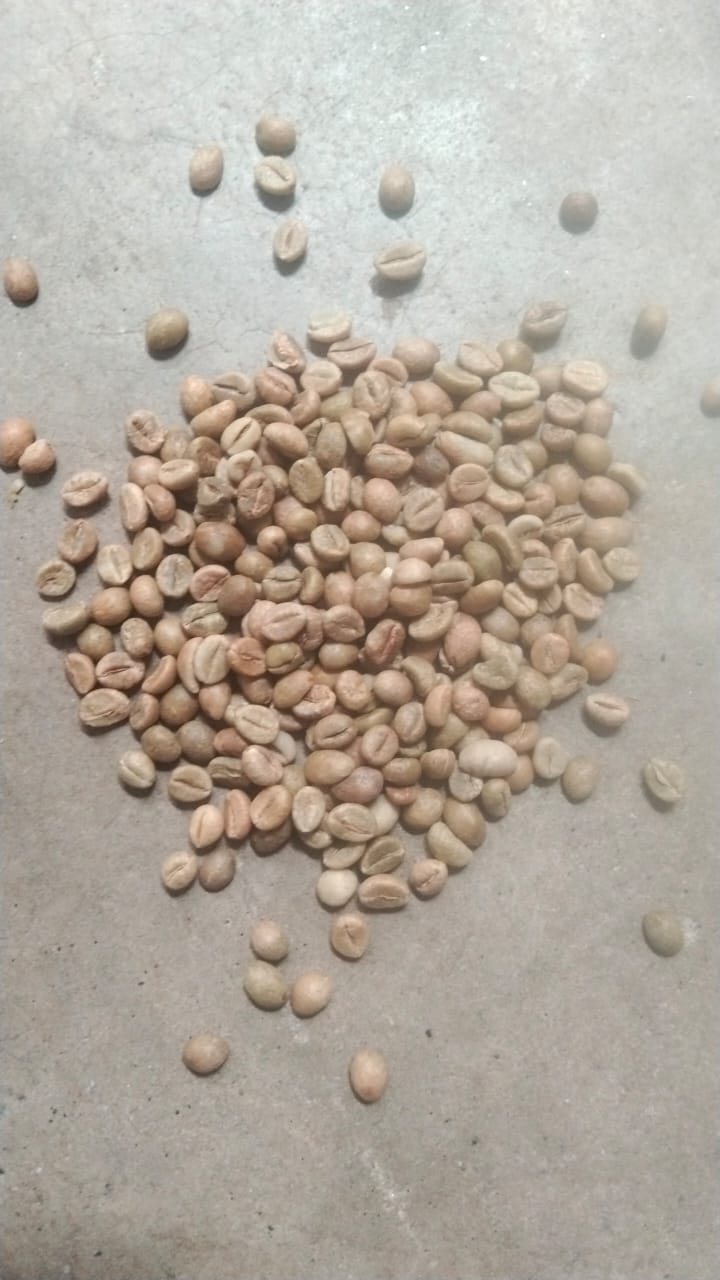 RC C green coffee beans