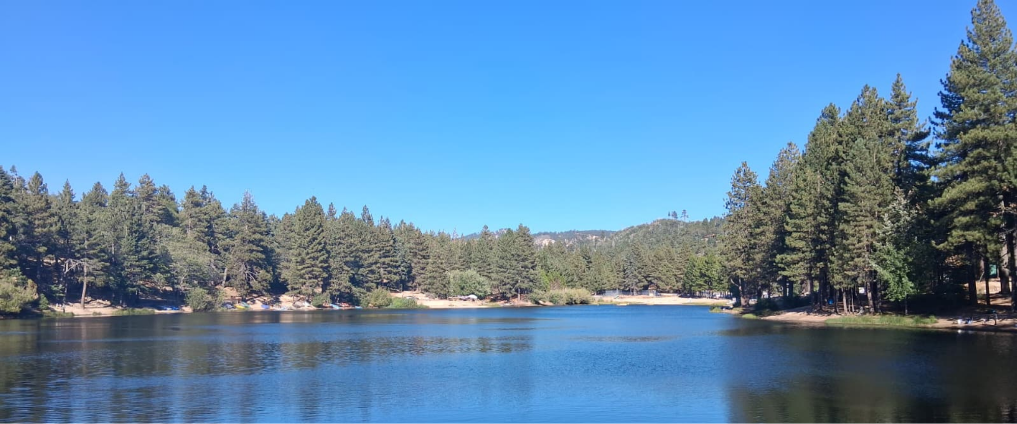 Lake surrounded by pine trees in the San Bernardino Mountains