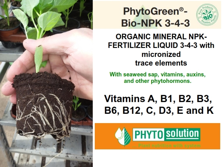 PhytoGreen Fruits & Vegetables view 3