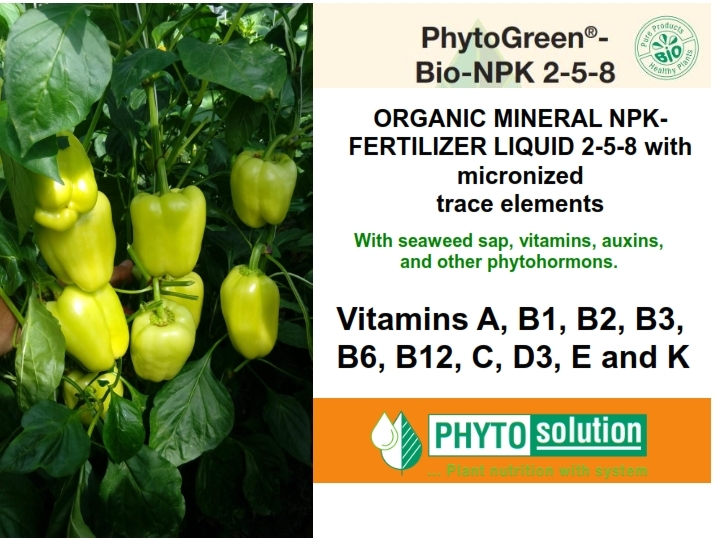 PhytoGreen Fruits & Vegetables view 2